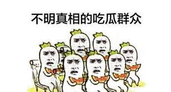 吃瓜群众娱乐大百科视频